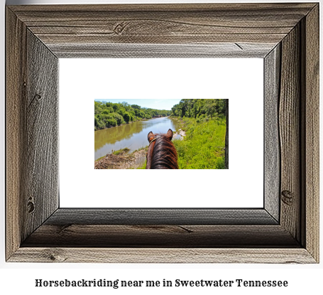 horseback riding near me in Sweetwater, Tennessee